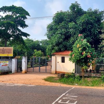 අප පාසලේ විශේෂ අවස්ථා